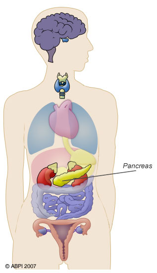 3D model of insulin